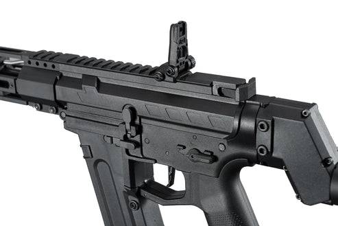 Arcturus x C.A.T. Versatile-5s Valor